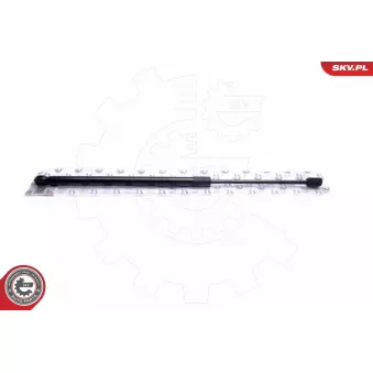 Vérin de hayon, de coffre ESEN SKV