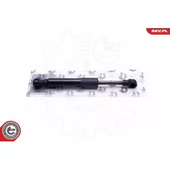 Vérin, frein de stationnement au pied ESEN SKV 52SKV746