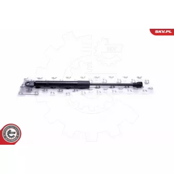 Vérin, vitre arrière ESEN SKV