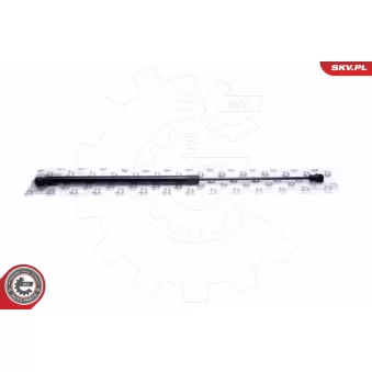 Vérin, vitre arrière ESEN SKV