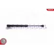 Vérin, vitre arrière ESEN SKV 52SKV755 - Visuel 1
