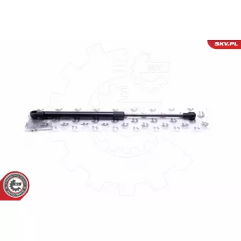 Vérin, vitre arrière ESEN SKV