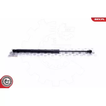 Vérin, vitre arrière ESEN SKV