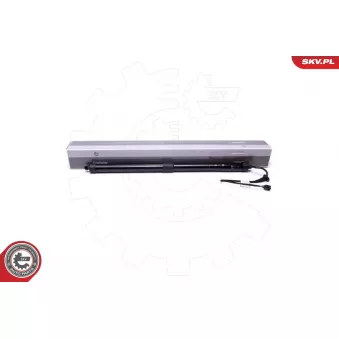 Moteur électrique, hayon ESEN SKV