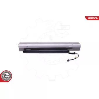 Moteur électrique, hayon ESEN SKV