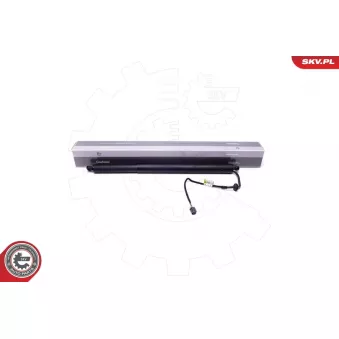 Moteur électrique, hayon arrière gauche ESEN SKV 52SKV917