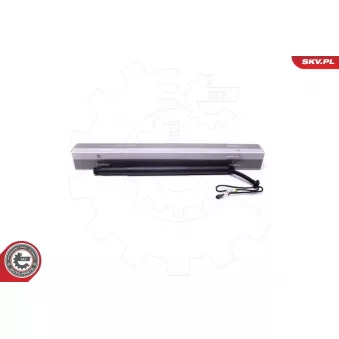 Moteur électrique, hayon arrière gauche ESEN SKV 52SKV923