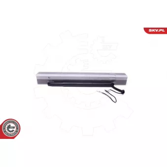 Moteur électrique, hayon arrière droit ESEN SKV 52SKV924