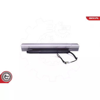 Moteur électrique, hayon arrière droit ESEN SKV 52SKV926