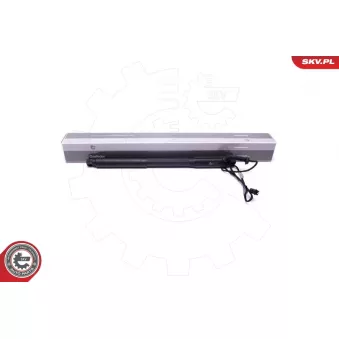 Moteur électrique, hayon arrière gauche ESEN SKV 52SKV927