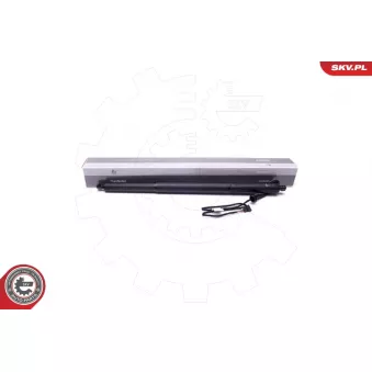 Moteur électrique, hayon arrière gauche ESEN SKV 52SKV929