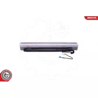 Moteur électrique, hayon arrière droit ESEN SKV 52SKV932