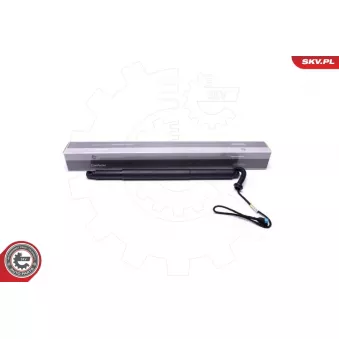 Moteur électrique, hayon arrière gauche ESEN SKV 52SKV935