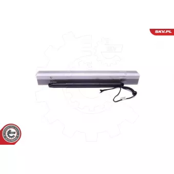 Moteur électrique, hayon arrière droit ESEN SKV 52SKV936