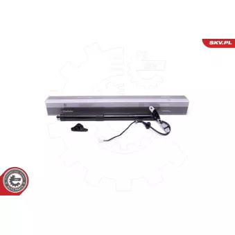 Moteur électrique, hayon arrière gauche ESEN SKV 52SKV937