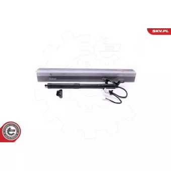 Moteur électrique, hayon arrière droit ESEN SKV 52SKV938