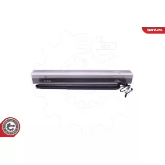 Moteur électrique, hayon arrière gauche ESEN SKV 52SKV941