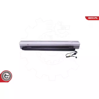 Moteur électrique, hayon arrière droit ESEN SKV 52SKV946