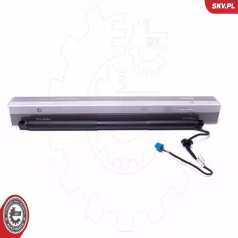 Moteur électrique, hayon arrière droit ESEN SKV 52SKV948