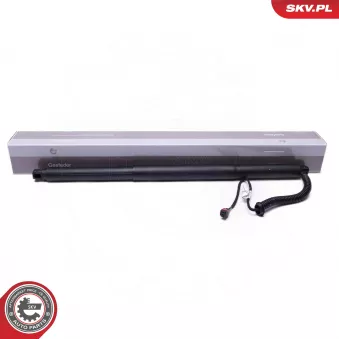 Moteur électrique, hayon ESEN SKV 52SKV959