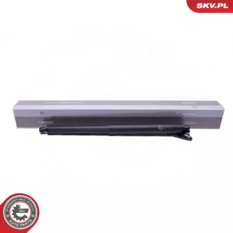 Moteur électrique, hayon arrière droit (à l'unité) ESEN SKV 52SKV963