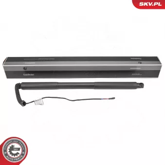 Moteur électrique, hayon arrière gauche (à l'unité) ESEN SKV 52SKV978