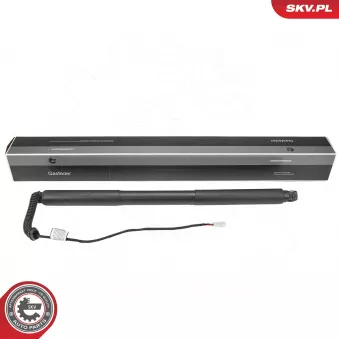 Moteur électrique, hayon arrière droit (à l'unité) ESEN SKV 52SKV979