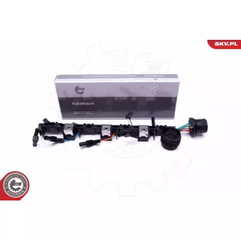 Raccord, injecteur ESEN SKV