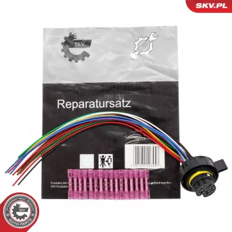 Valve de commande, boîte automatique ESEN SKV