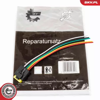 Kit réparation de câble, vanne EGR ESEN SKV 53SKV179