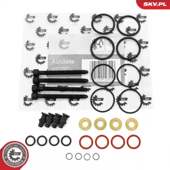 Kit de réparation, unité pompe-injecteur ESEN SKV 53SKV187