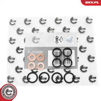 Kit de joints, injecteur ESEN SKV 53SKV195