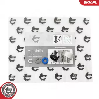 Jeux de bagues d'etanchéité, injecteur ESEN SKV 53SKV196