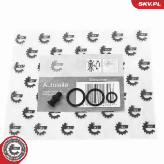 Kit de réparation, unité pompe-injecteur ESEN SKV 53SKV197