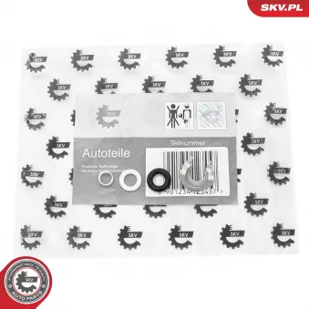 Jeux de bagues d'etanchéité, injecteur ESEN SKV 53SKV199