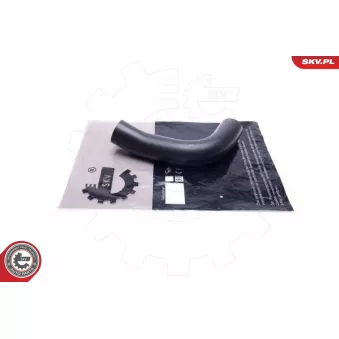 Gaine de suralimentation ESEN SKV