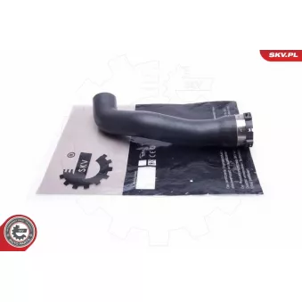 Gaine de suralimentation ESEN SKV 54SKV030