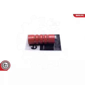 Gaine de suralimentation ESEN SKV 54SKV032