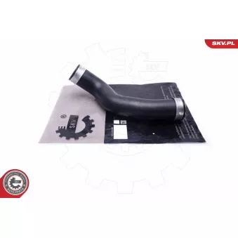 Gaine de suralimentation ESEN SKV 54SKV087