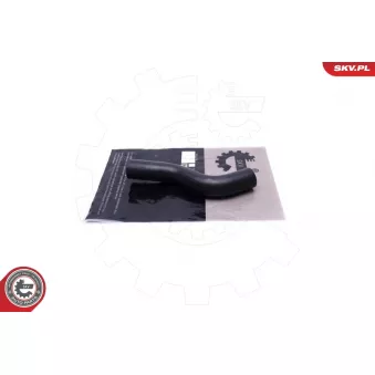 Gaine de suralimentation ESEN SKV 54SKV113