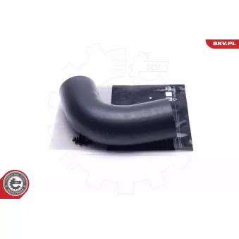 Gaine de suralimentation ESEN SKV 54SKV121