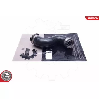 Gaine de suralimentation ESEN SKV 54SKV193