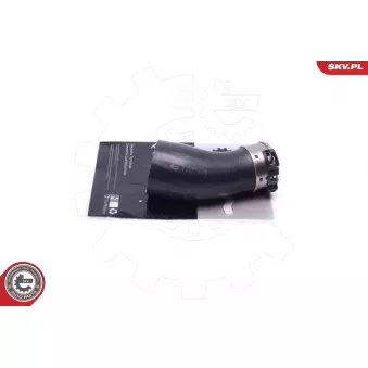 Gaine de suralimentation ESEN SKV 54SKV205