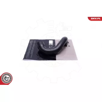 Gaine de suralimentation ESEN SKV 54SKV208