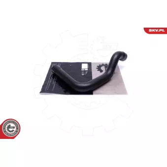 Gaine de suralimentation ESEN SKV 54SKV212