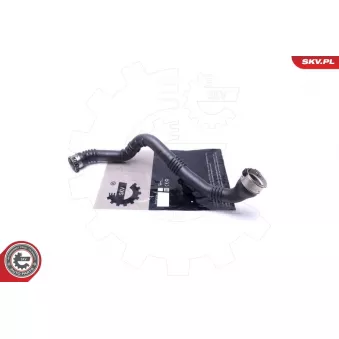 Gaine de suralimentation ESEN SKV 54SKV229