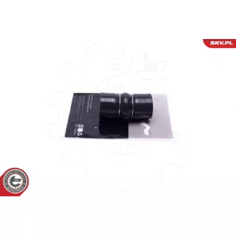 Gaine de suralimentation ESEN SKV 54SKV231