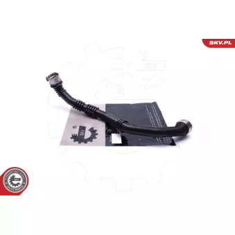 Gaine de suralimentation ESEN SKV 54SKV256