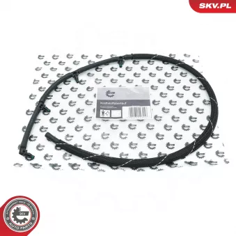 Tuyau, carburant de fuite ESEN SKV 54SKV273