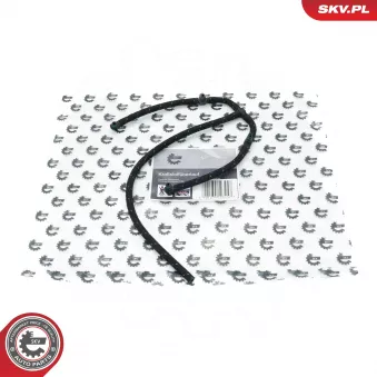 Tuyau, carburant de fuite ESEN SKV 54SKV314